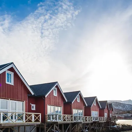 Norway Cabins And Camping Glamping 营地