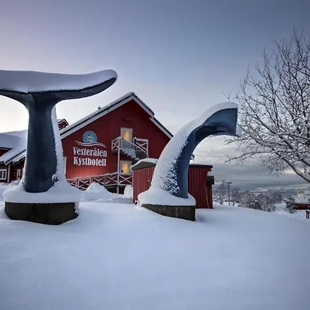 캠프장 Norway Cabins And Camping Glamping